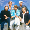 Book Beach Boys Originals for your next event.