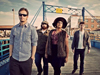 Book Alabama Shakes for your next event.