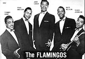 Book The Flamingos for your next corporate event, function, or private party.