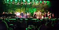 Book The Diamond Collection (Tribute To Neil Diamond) for your next corporate event, function, or private party.