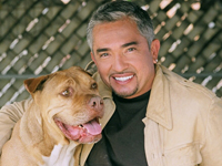 Hire Cesar Millan as 