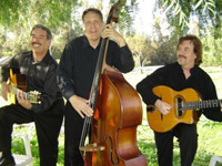 Book Gypsy Swing Cats for your next corporate event, function, or private party.