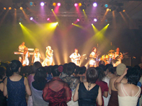 Book ABsalute Gold - ABBA Tribute for your next corporate event, function, or private party.