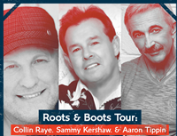 Book Roots and Boots 90's Electric Throwdown for your next corporate event, function, or private party.