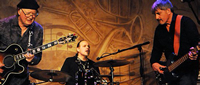 Book Savoy Brown for your next corporate event, function, or private party.