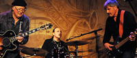 Book Savoy Brown for your next corporate event, function, or private party.