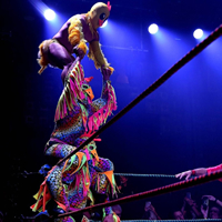 Book Lucha Vavoom for your next corporate event, function, or private party.