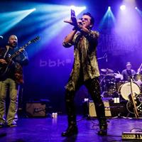 Book The Screamin' Cheetah Wheelies for your next corporate event, function, or private party.