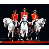 Book World Famous Lipizzaner Stallions for your next corporate event, function, or private party.