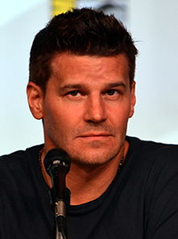 Book David Boreanaz for your next corporate event, function, or private party.