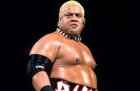 Book Rikishi for your next corporate event, function, or private party.