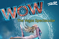 Book WOW-The Vegas Spectacular for your next corporate event, function, or private party.