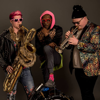 Book Too Many Zooz for your next corporate event, function, or private party.