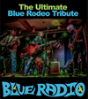 Book Blue Radio for your next event.