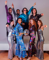 Book Disco Fever for your next event.