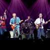 Book Creedence Revisited for your next event.