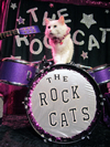 Book Acro Cats and The Rock Cats for your next event.