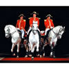 Book World Famous Lipizzaner Stallions for your next event.
