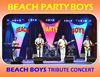 Book Beach Party Boys- Beach Boys Tribute for your next event.