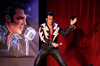 Book Steve Connolly: Spirit of the King for your next event.