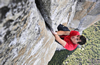 Book Alex Honnold for your next event.